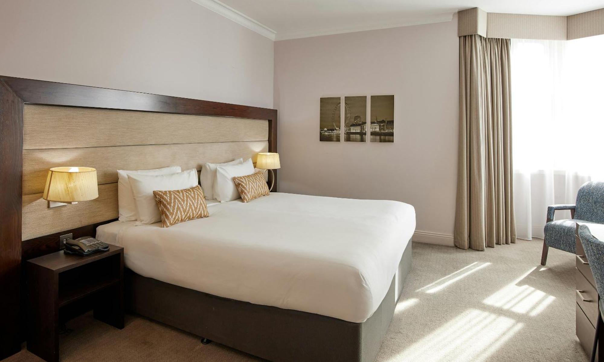Executive King Room,1742591846:JPEG